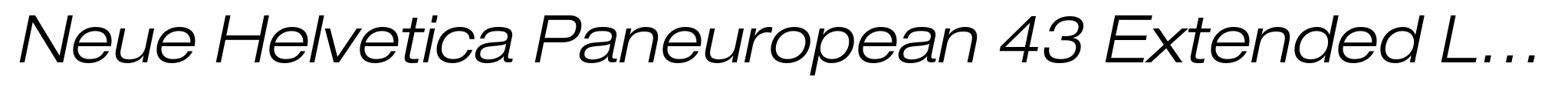 Neue Helvetica Paneuropean 43 Extended Light Oblique image