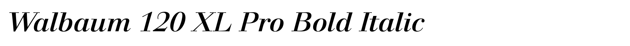 Walbaum 120 XL Pro Bold Italic image