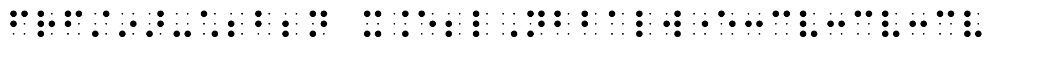 PIXymbols BrailleReader Italic image