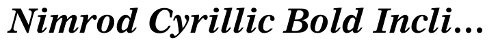 Nimrod Pro Cyrillic Bold Italic