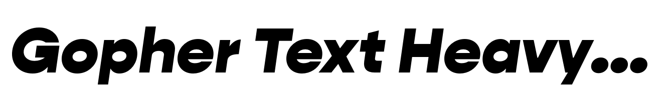 Gopher Text Heavy Italic