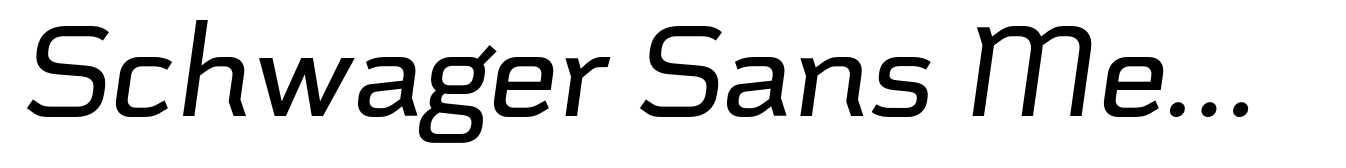 Schwager Sans Medium Italic