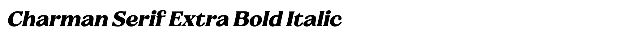 Charman Serif Extra Bold Italic image