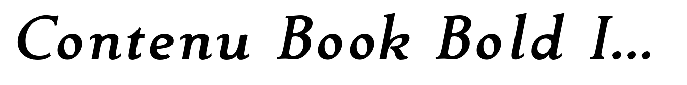 Contenu Book Bold Italic