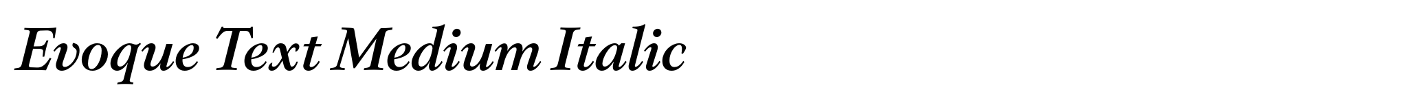 Evoque Text Medium Italic image