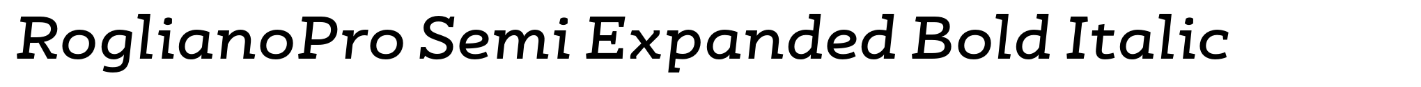 RoglianoPro Semi Expanded Bold Italic image