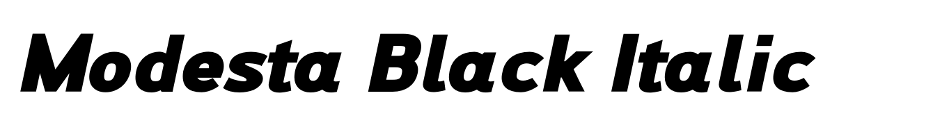 Modesta Black Italic