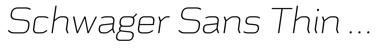 Schwager Sans Thin Italic