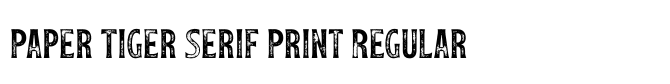 Paper Tiger Serif Print Regular