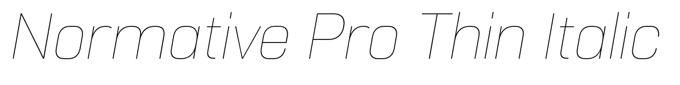 Normative Pro Thin Italic