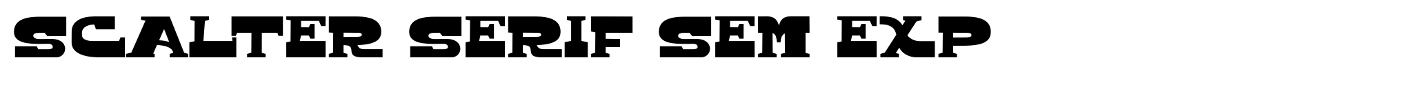 Scalter Serif Sem Exp image