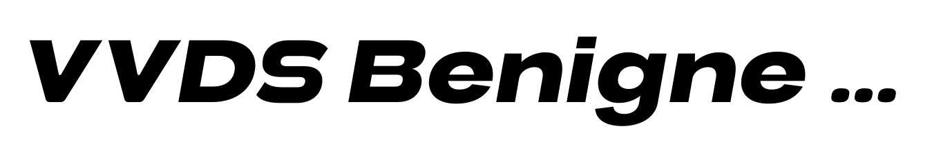 VVDS Benigne Sans Semi Bold Italic