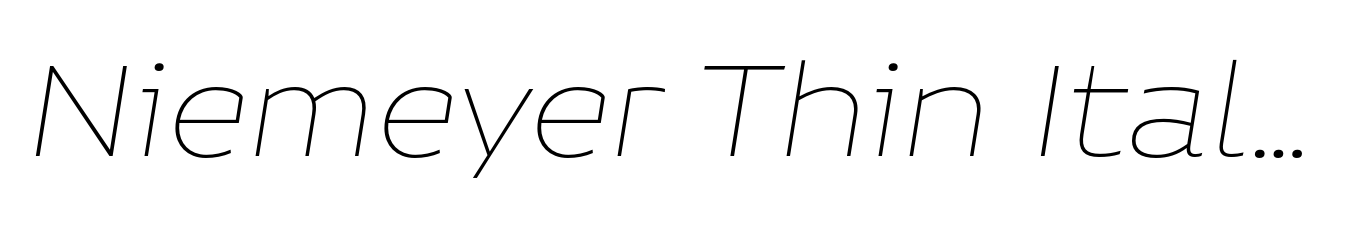 Niemeyer Thin Italic