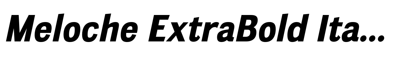 Meloche ExtraBold Italic