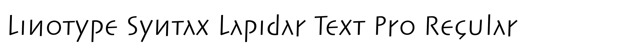 Linotype Syntax Lapidar Text Pro Regular image