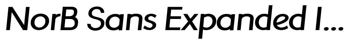 NorB Sans Expanded Italic