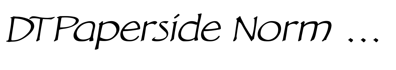 DT Paperside Norm Italic