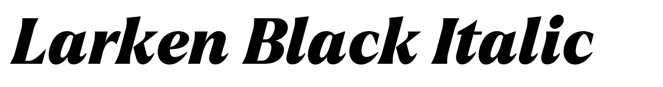 Larken Black Italic
