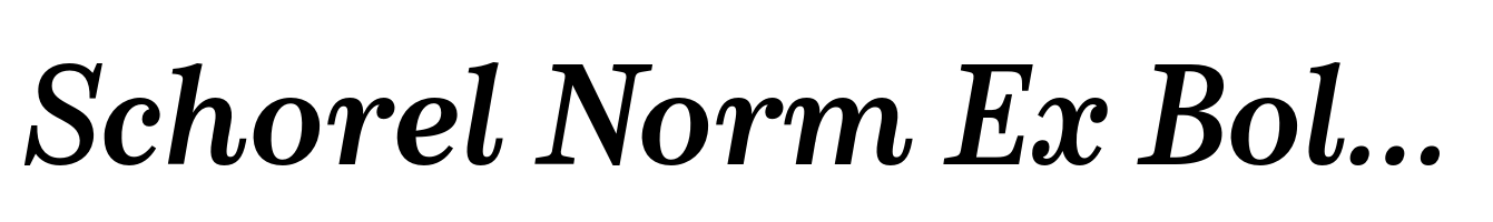 Schorel Norm Ex Bold Italic