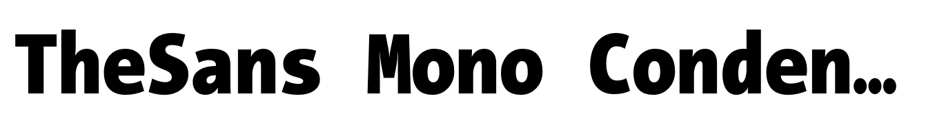 TheSans Mono Condensed Black