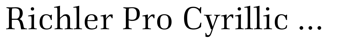 Richler Pro Cyrillic Bold Italic