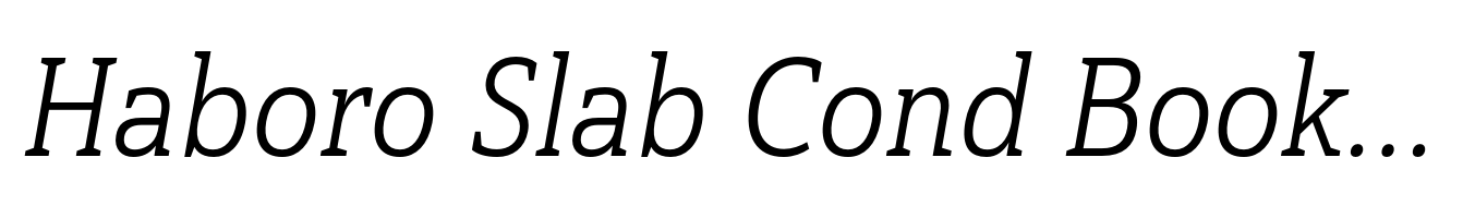 Haboro Slab Cond Book Italic