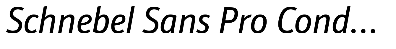 Schnebel Sans Pro Condensed Italic