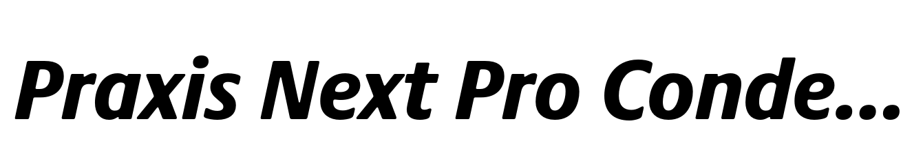 Praxis Next Pro Condensed Heavy Italic
