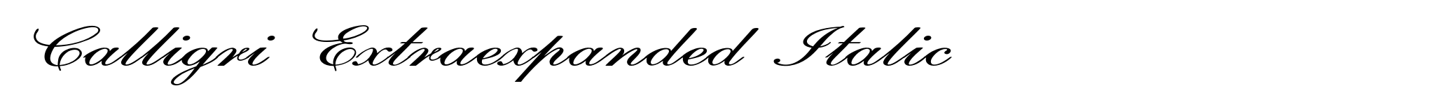 Calligri Extraexpanded Italic image