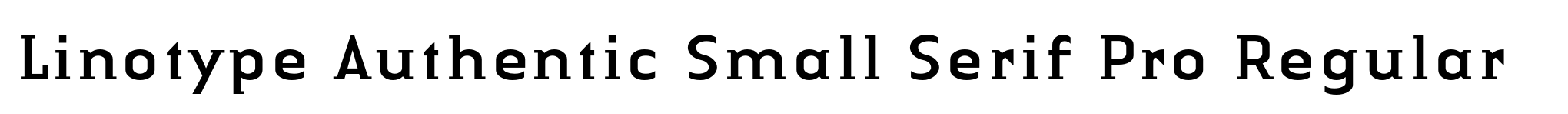 Linotype Authentic Small Serif Pro Regular image