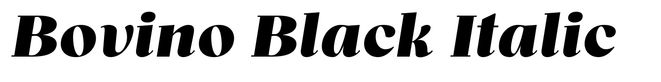Bovino Black Italic
