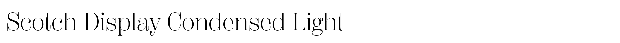 Scotch Display Condensed Light image