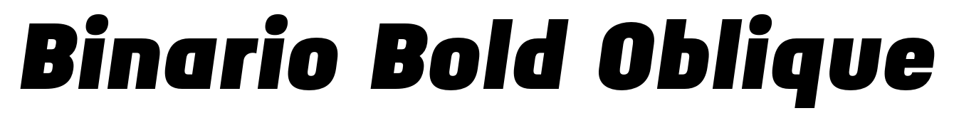 Binario Bold Oblique