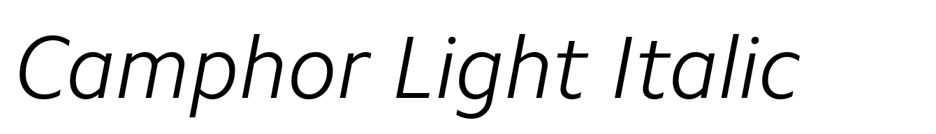 Camphor Light Italic