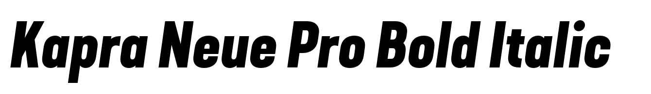 Kapra Neue Pro Bold Italic