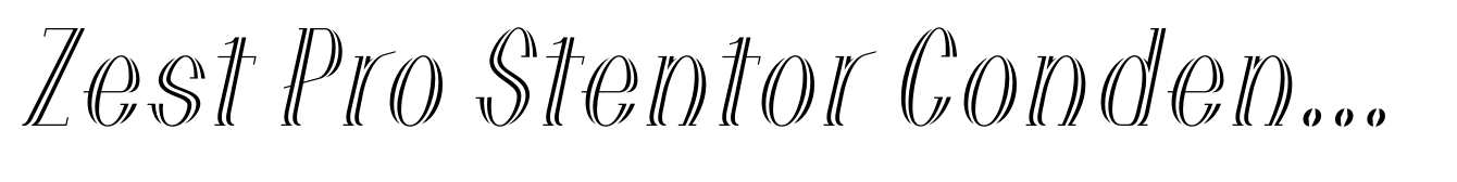 Zest Pro Stentor Condensed Italic