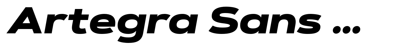 Artegra Sans Extended Alt Black Italic