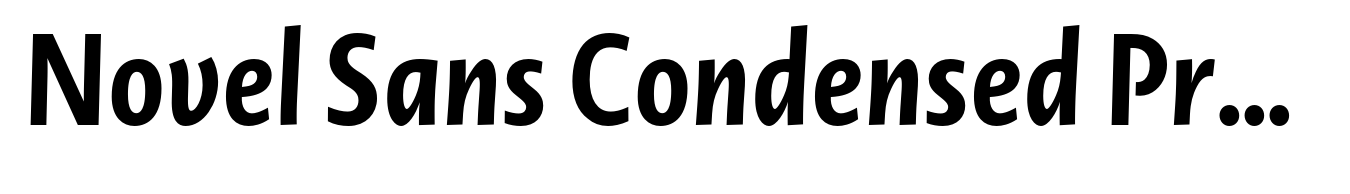 Novel Sans Condensed Pro Bold Italic