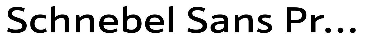 Schnebel Sans Pro Extended Medium