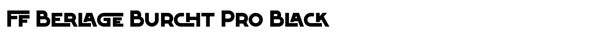 FF Berlage Burcht Pro Black image