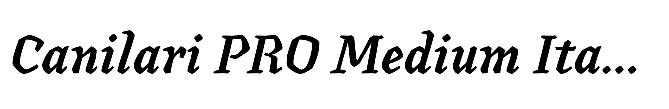 Canilari PRO Medium Italic