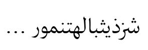 Palatino® Arabic