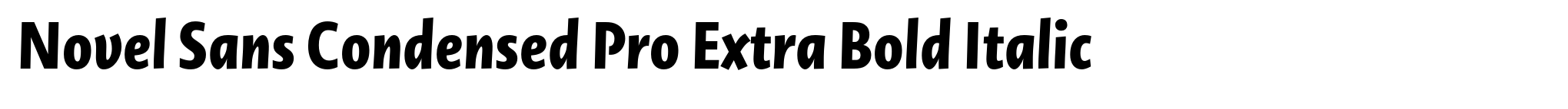 Novel Sans Condensed Pro Extra Bold Italic image