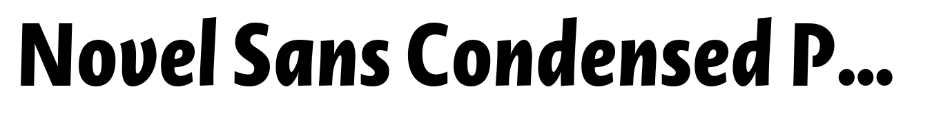 Novel Sans Condensed Pro Extra Bold Italic