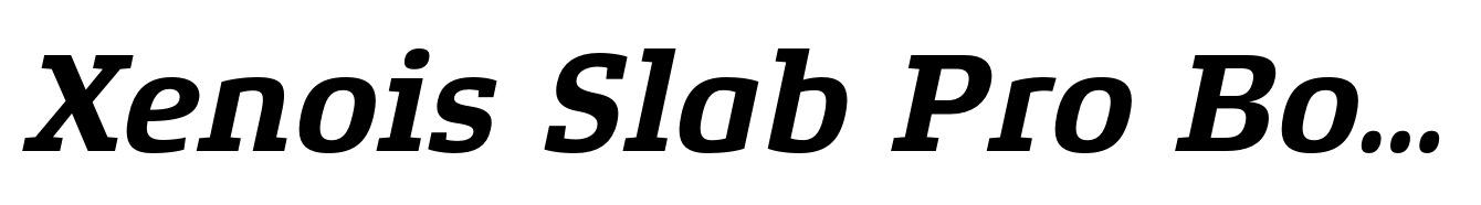 Xenois Slab Pro Bold Italic