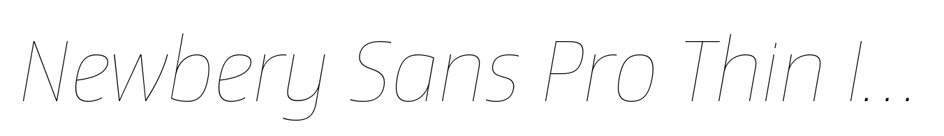 Newbery Sans Pro Thin Italic