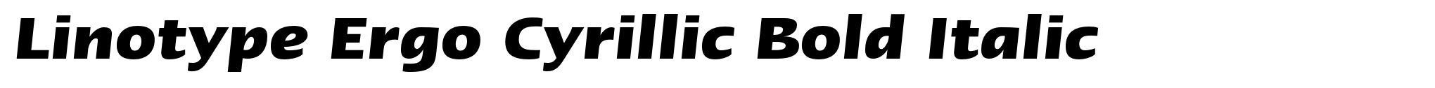 Linotype Ergo Cyrillic Bold Italic image