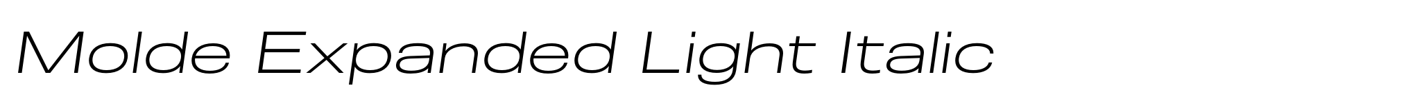 Molde Expanded Light Italic image
