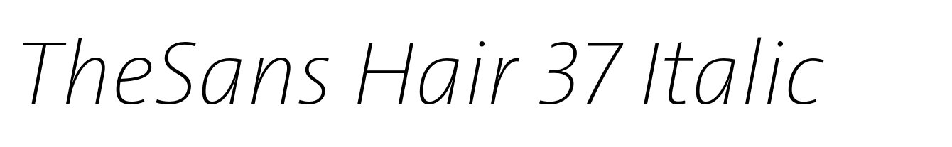 TheSans Hair 37 Italic