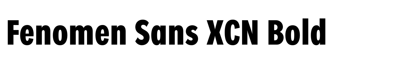 Fenomen Sans XCN Bold